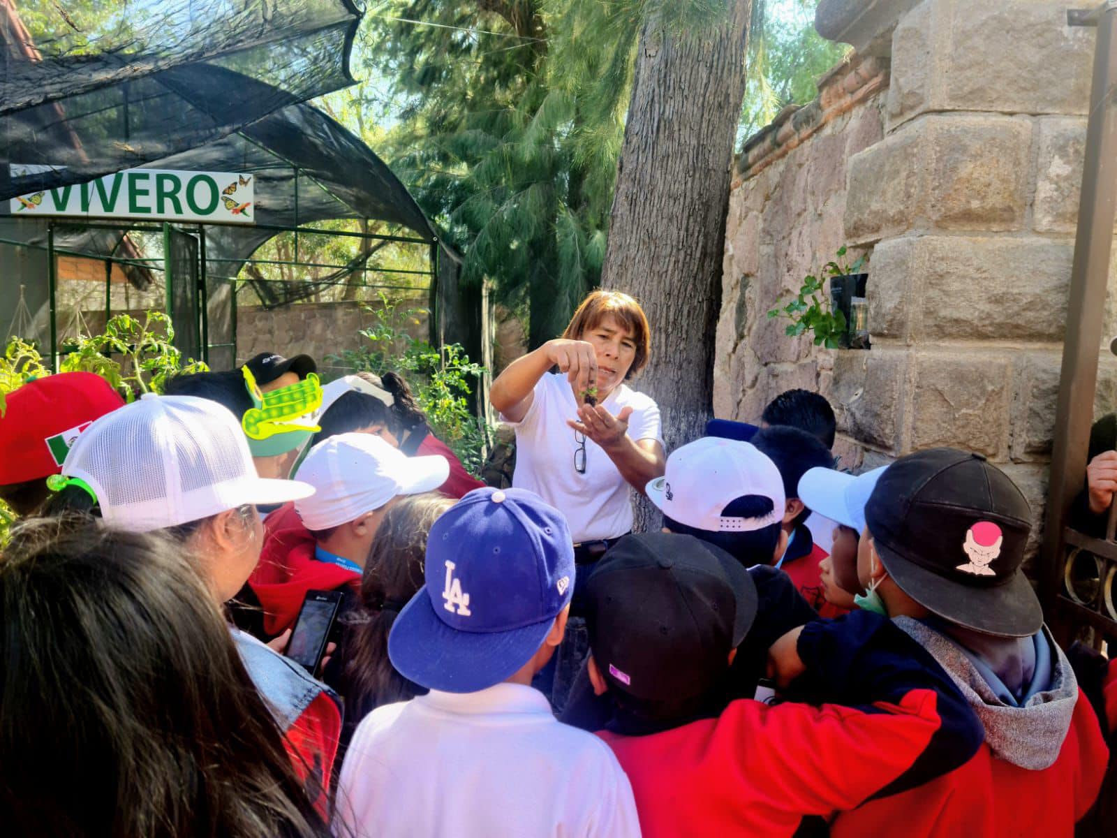 Sigue programa de actividades ambientales del Gobierno de la Capital