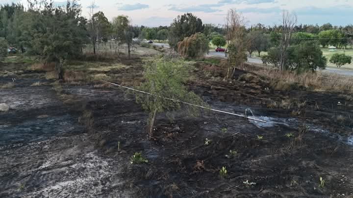 CONTROLADO EL INCENDIO EN PARQUE TANGAMANGA I