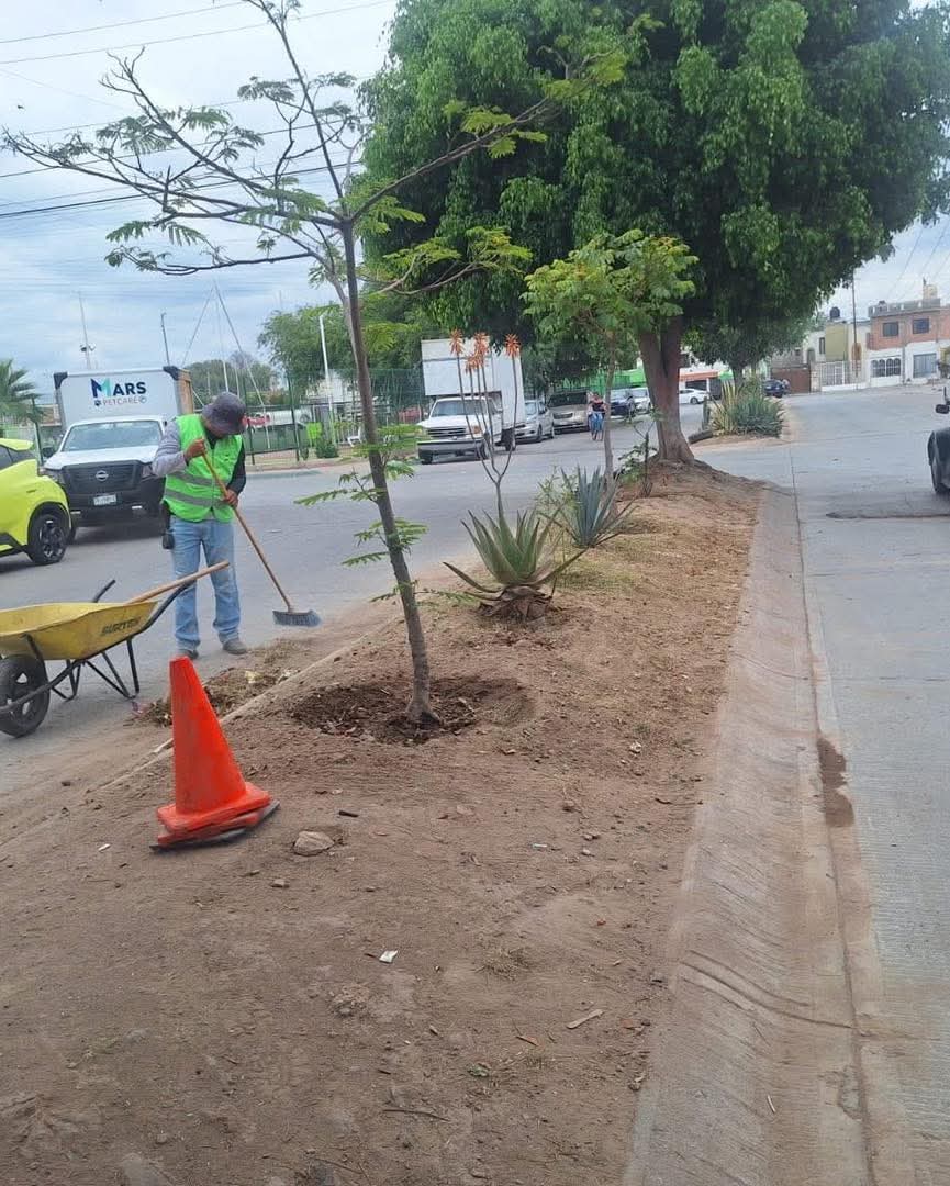 Seguimos trabajando para mantener un Soledad más limpio y ordenado. 