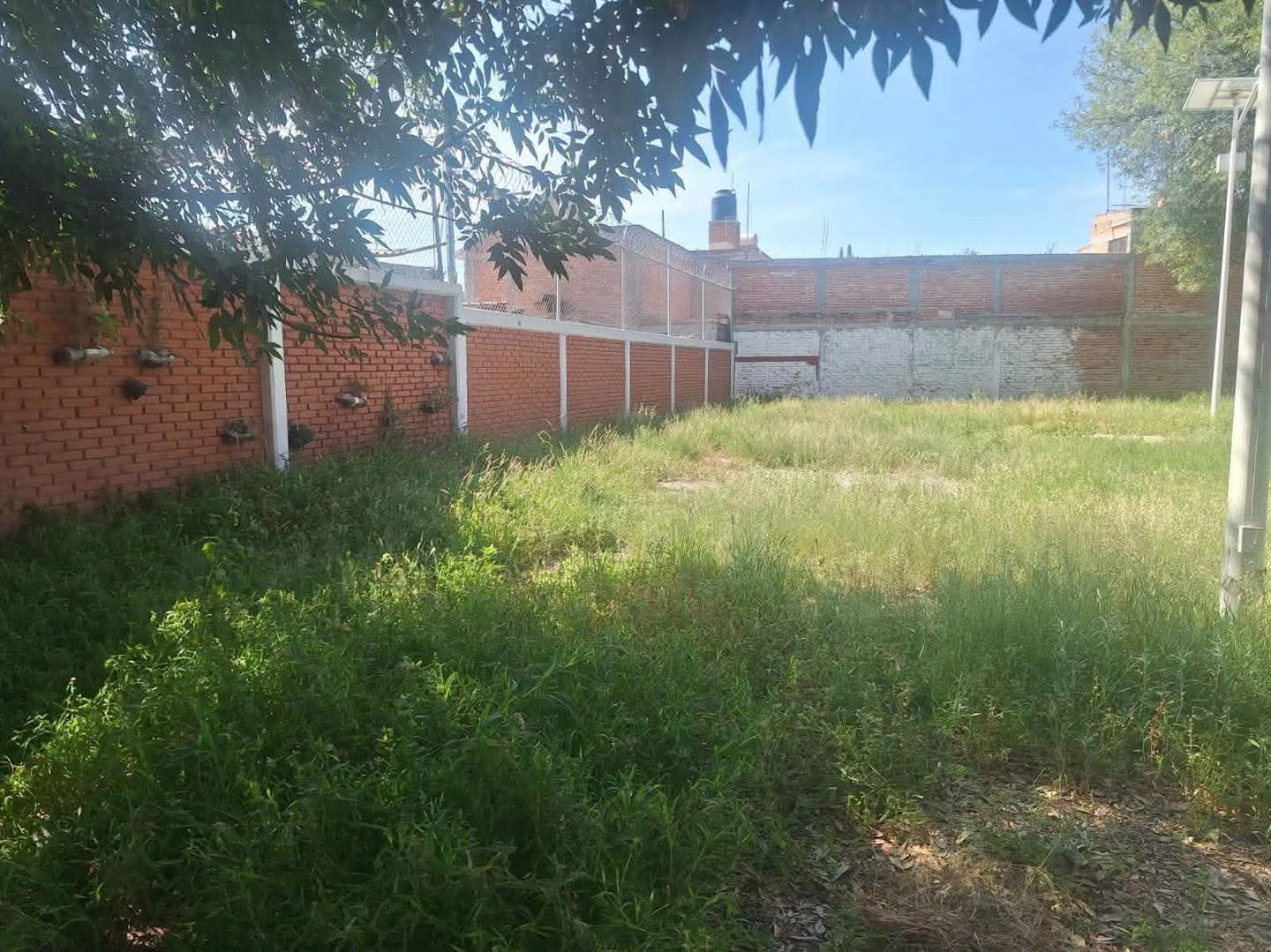 Soledad mantiene limpios sus espacios educativos.